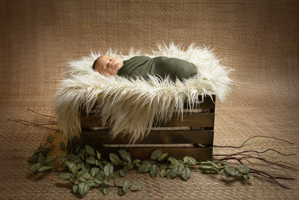 Portrait and Headshot Photographer - Newborn Portrait